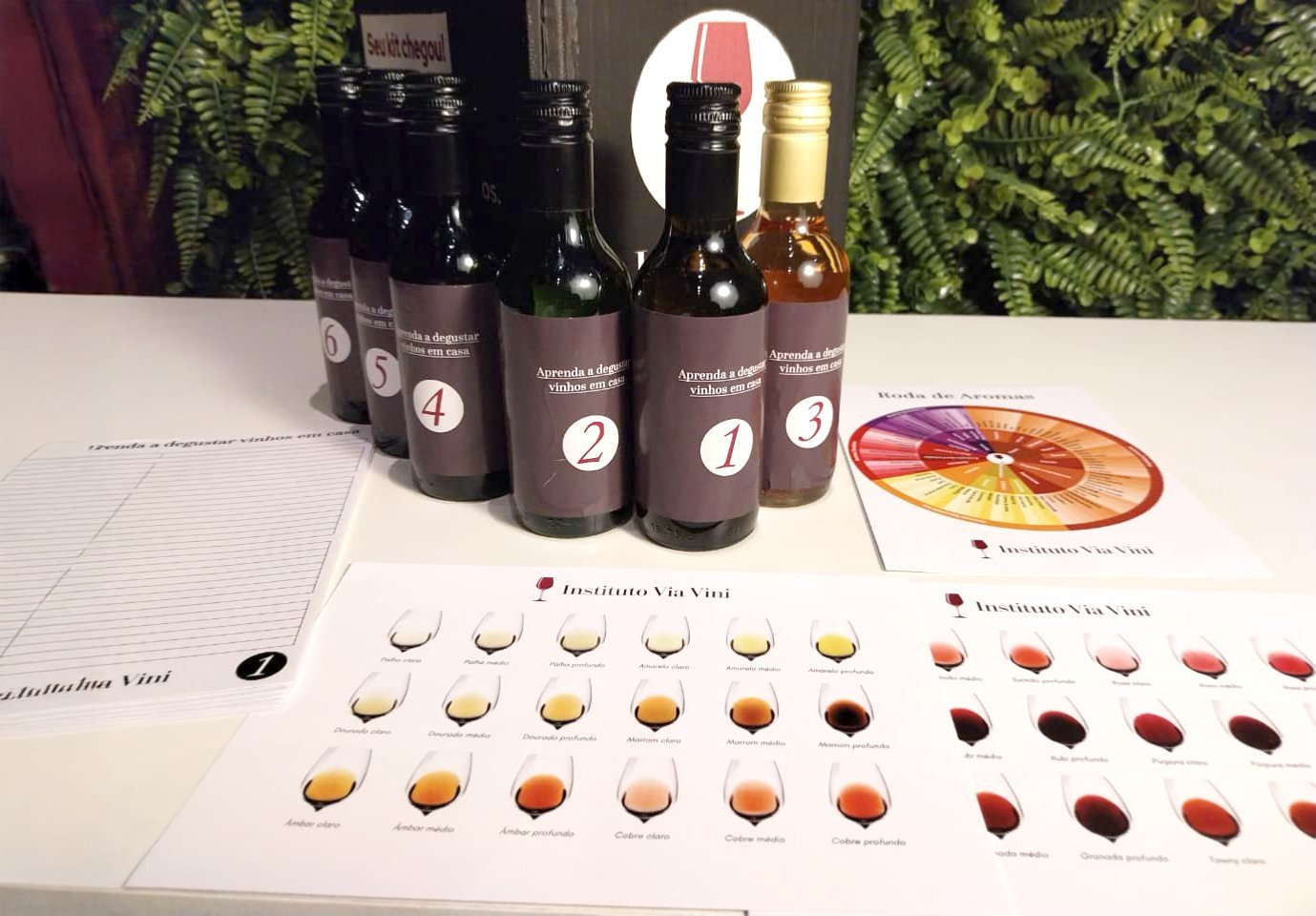 Kit de Experiência Sensorial - Detalhes